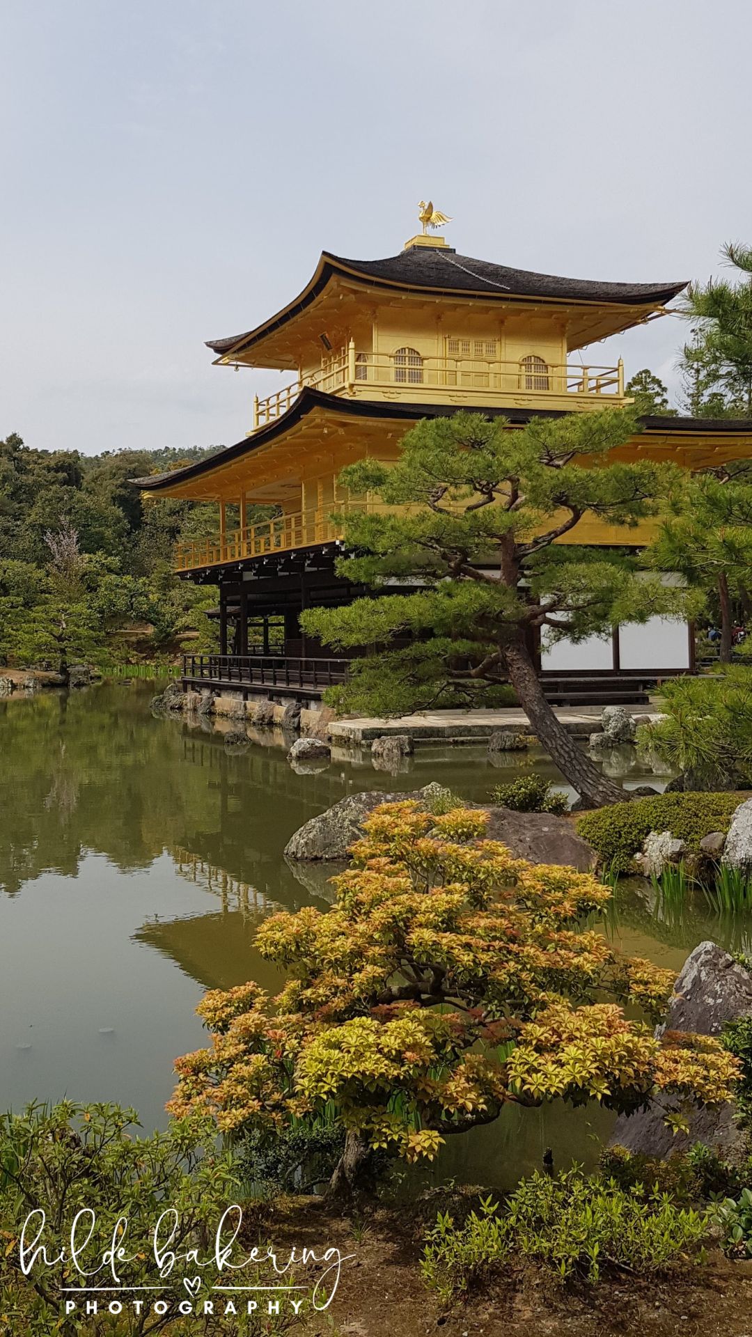 Kinkaku-ji, Kyoto, Japan
