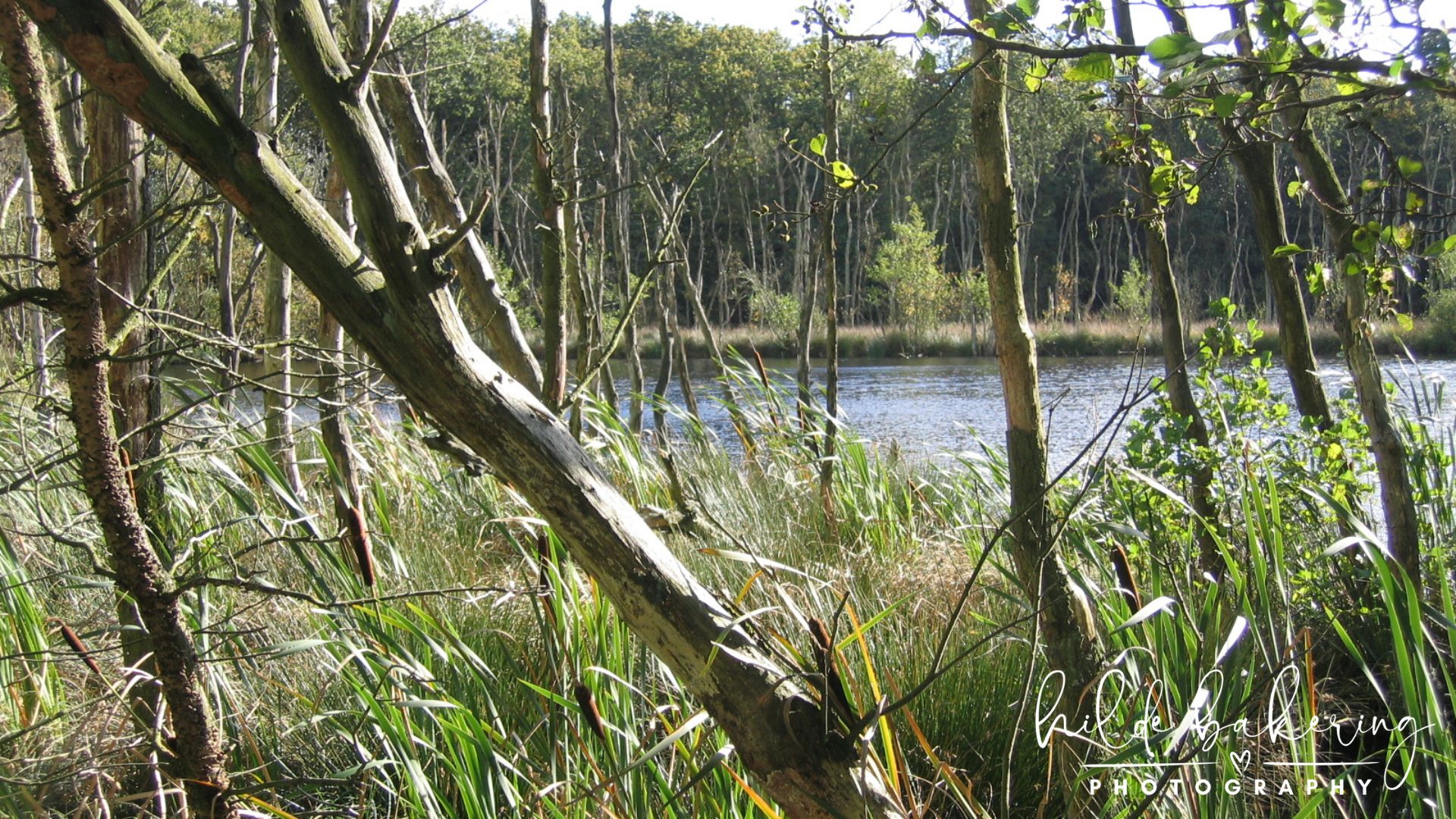 Norgerholt, the Netherlands