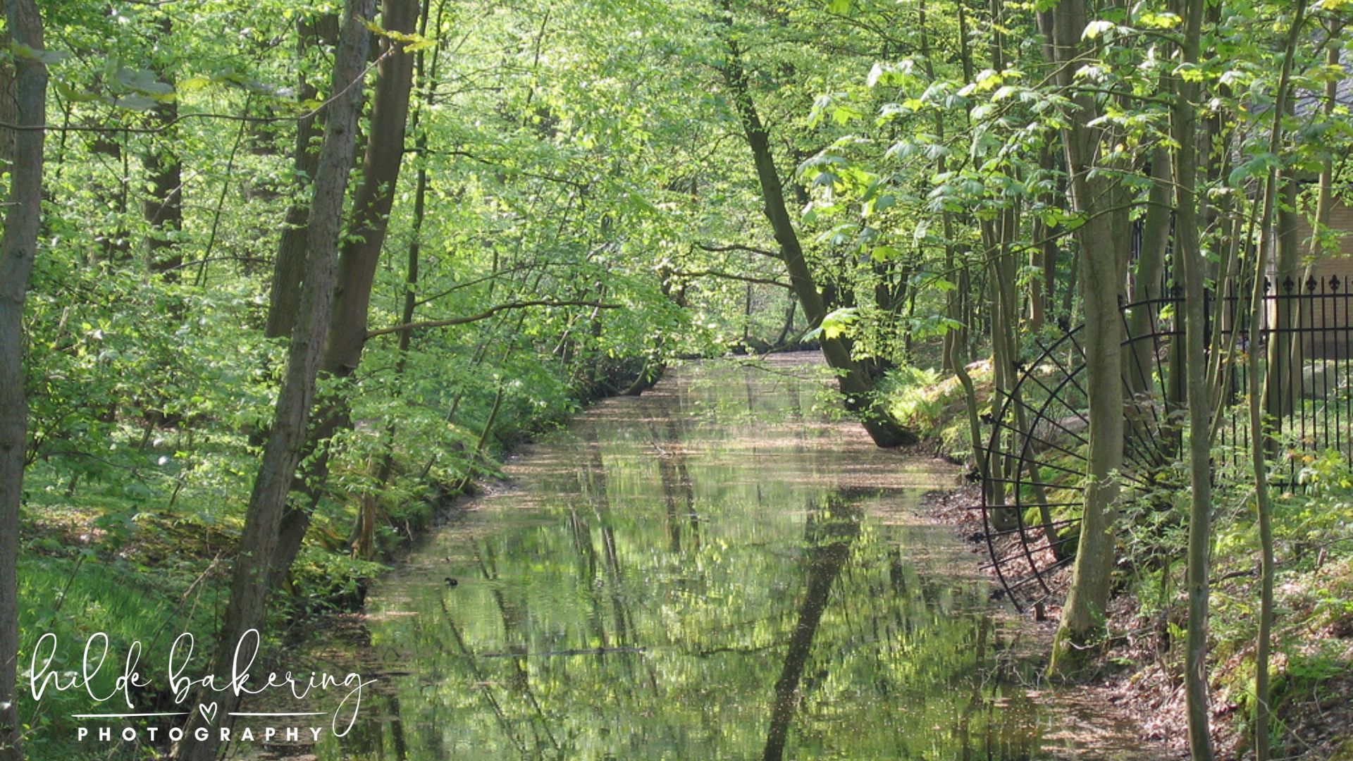 Nienoord, Leek, the Netherlands