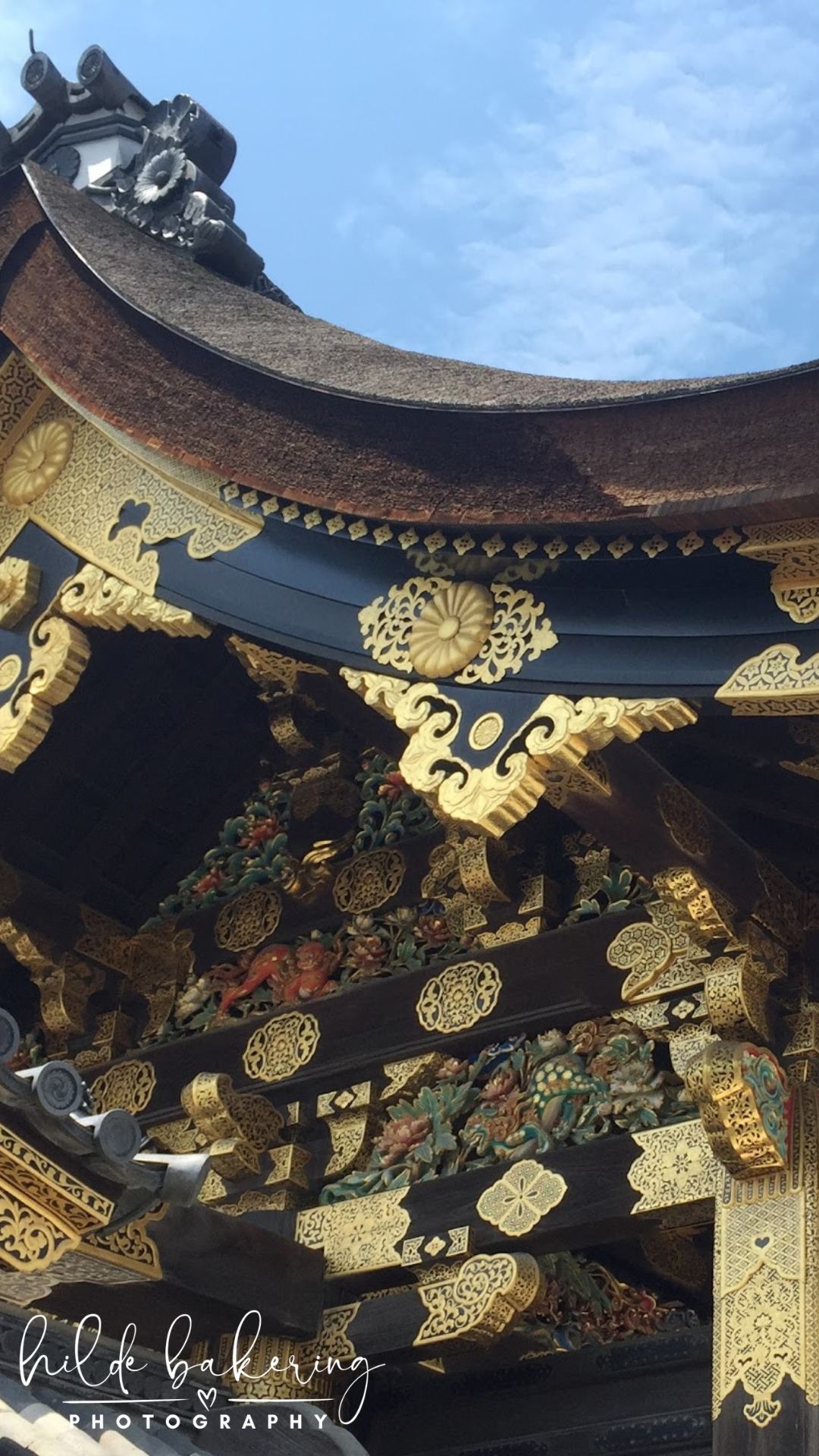 Nijo Castle, Kyoto, Japan 