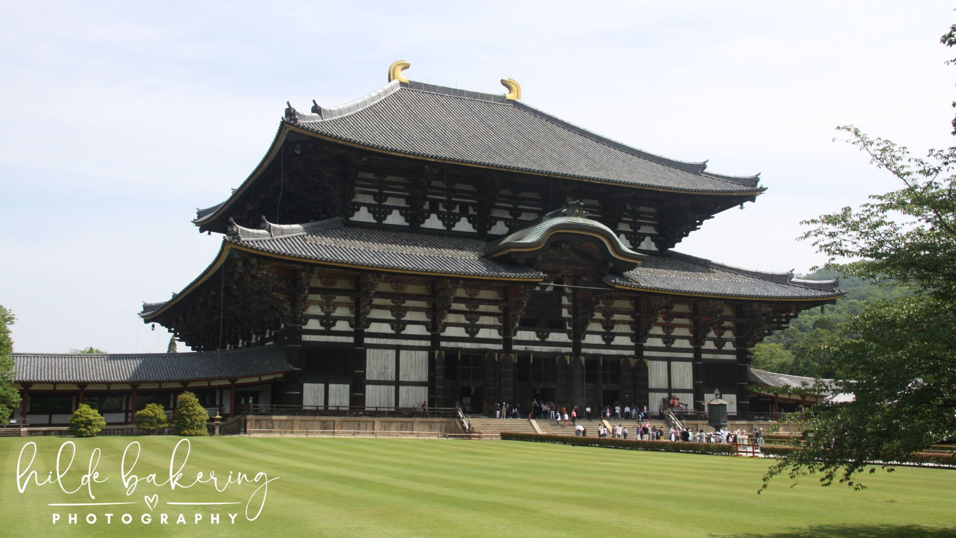 Todai-ji, Nara, Japan