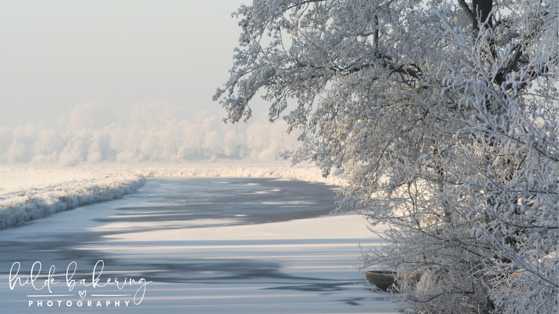 Tolberter Petten, the Netherlands